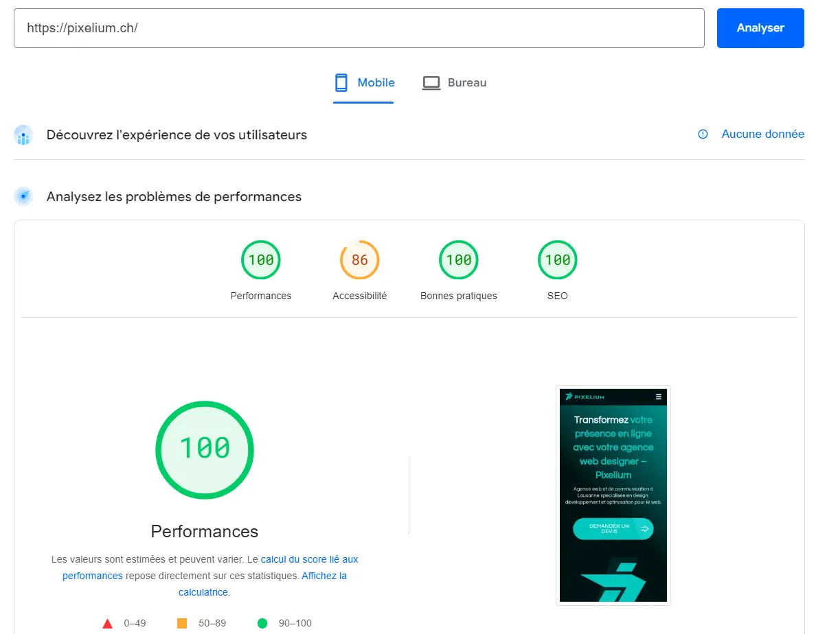 Capture d'écran des performances examiné par Google PageSpeed